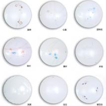 佛山照明 吸頂燈220V大愛(ài)系列 標(biāo)準(zhǔn)10*1 （全白、紫百合、飄葉、水仙、秋葉、心意、藍(lán)鈴花、鳳尾、旋律、新米奇、愛(ài)心兔、可愛(ài)熊